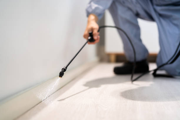 Bed Bug Pre-Treatment Preparation Assessment in Hastings